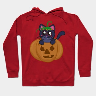 Vampire cat in a spooky halloween pumpkin Hoodie